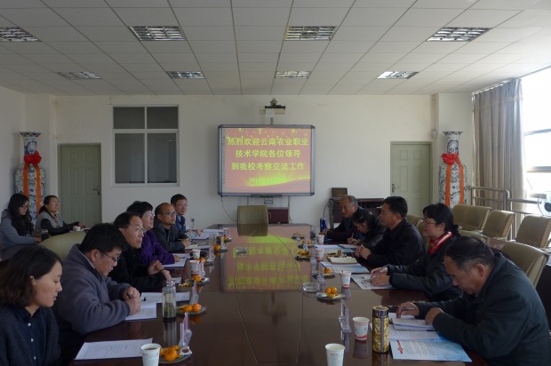 P1100563.JPG